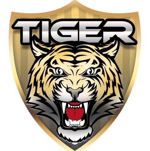 TIGER SSD